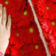 Illustration for article titled A Complete Guide To Buying Her Flowers